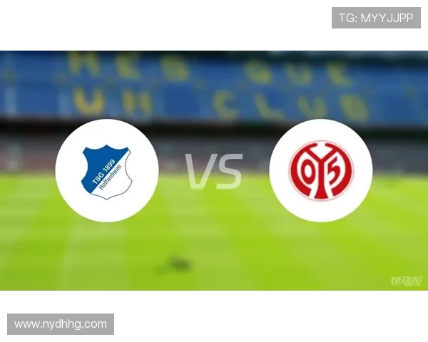 [德甲]第12轮：霍芬海姆1-1美因茨 集锦.